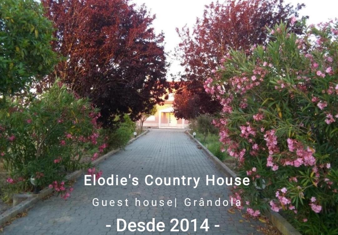 Grândola Elodie'S Country House - Alojamento Local酒店 外观 照片