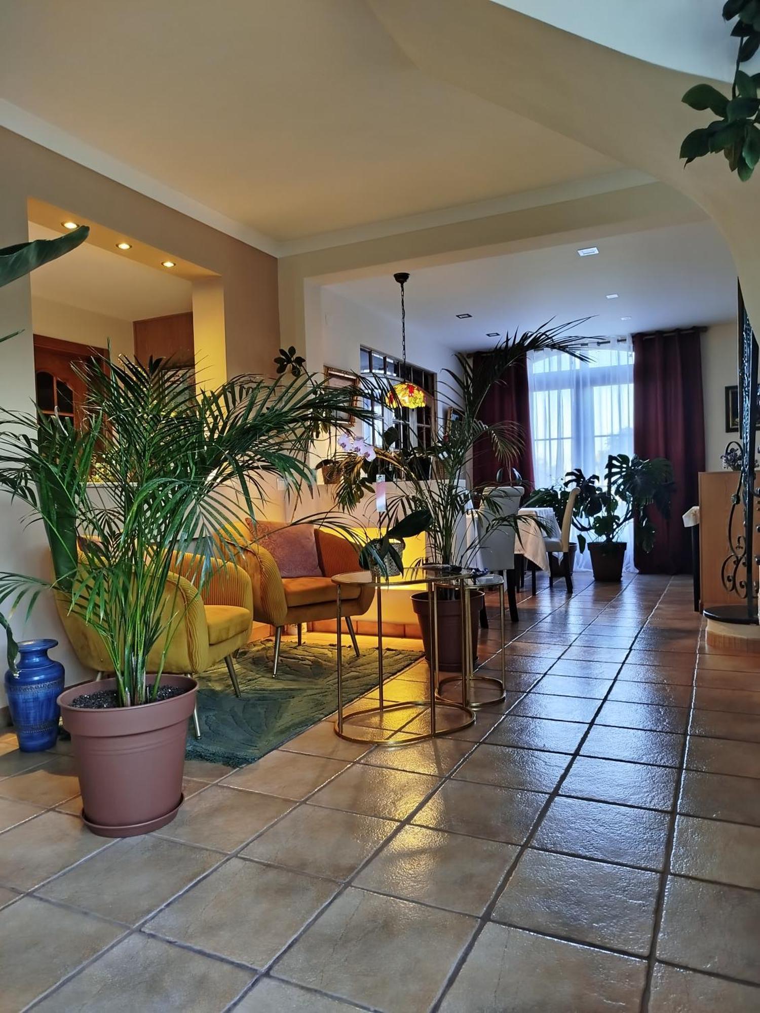 Grândola Elodie'S Country House - Alojamento Local酒店 外观 照片